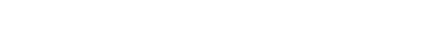 Wahl Group